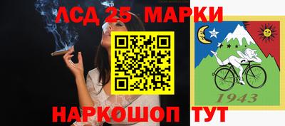 стафф Будённовск