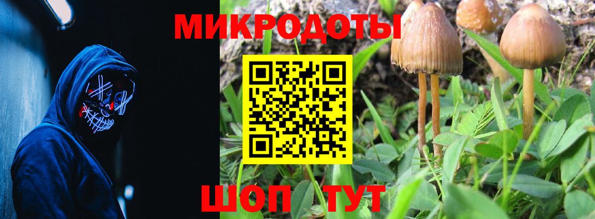 Псилоцибиновые грибы ЛСД  Вход с VPN  наркота  Лабинск 